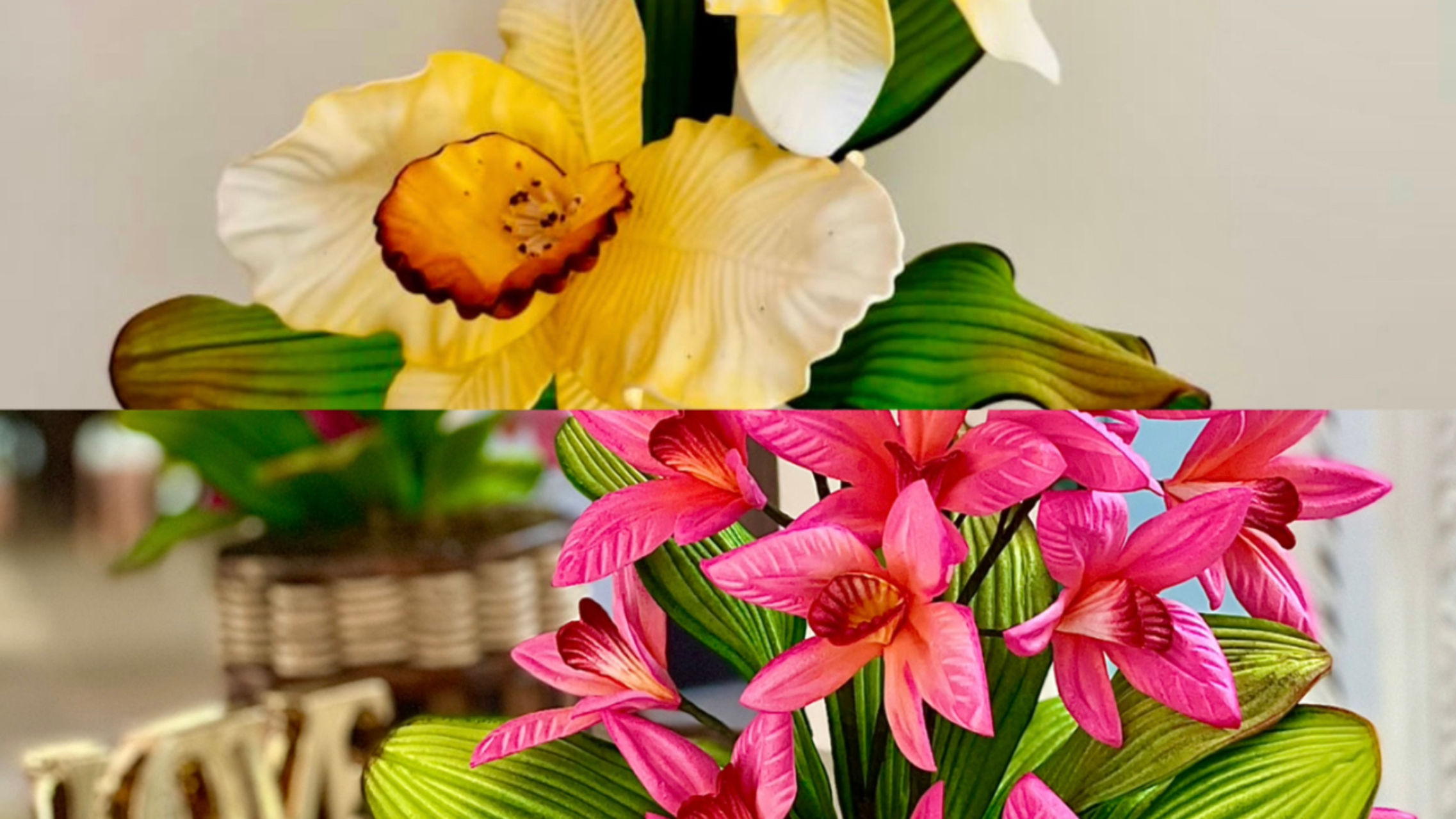 Master Class Orquideas Reina y Arudina